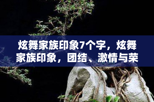 炫舞家族印象7个字，炫舞家族印象，团结、激情与荣耀的舞蹈世界