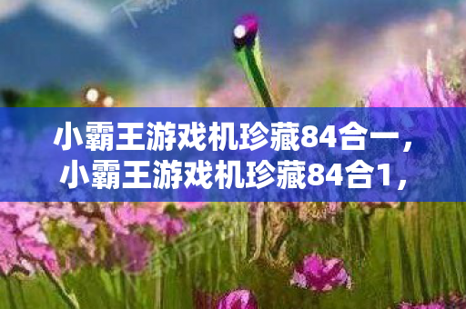 小霸王游戏机珍藏84合一,小霸王游戏机珍藏84合1,回忆里的经典游戏 小霸王游戏机珍藏84合一,小霸王游戏机珍藏84合1,回忆里的经典游戏