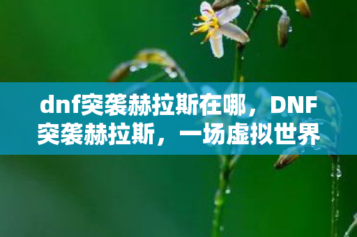 dnf突袭赫拉斯在哪,DNF突袭赫拉斯,一场虚拟世界的冒险之旅 dnf突袭赫拉斯在哪,DNF突袭赫拉斯,一场虚拟世界的冒险之旅