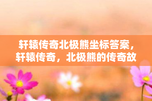 轩辕传奇北极熊坐标答案，轩辕传奇，北极熊的传奇故事