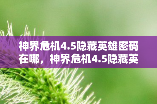 神界危机4.5隐藏英雄密码在哪,神界危机4.5隐藏英雄密码揭秘 神界危机4.5隐藏英雄密码在哪,神界危机4.5隐藏英雄密码揭秘
