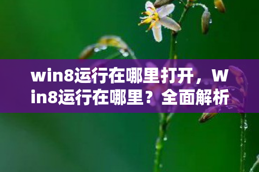 win8运行在哪里打开，Win8运行在哪里？全面解析Windows 8操作系统运行环境