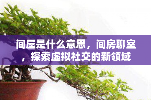 间屋是什么意思，间房聊室，探索虚拟社交的新领域