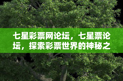 七星彩票网论坛,七星票论坛,探索彩票世界的神秘之旅 七星彩票网论坛,七星票论坛,探索彩票世界的神秘之旅