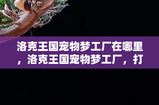洛克王国宠物梦工厂在哪里，洛克王国宠物梦工厂，打造你的专属萌宠王国
