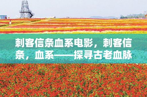 刺客信条血系电影,刺客信条,血系——探寻古老血脉的神秘之旅 刺客信条血系电影,刺客信条,血系——探寻古老血脉的神秘之旅