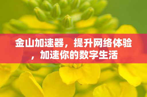 金山加速器,提升网络体验,加速你的数字生活 金山加速器,提升网络体验,加速你的数字生活