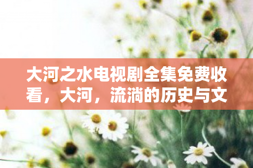 大河之水电视剧全集免费收看,大河,流淌的历史与文化 大河之水电视剧全集免费收看,大河,流淌的历史与文化