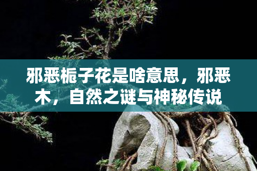 邪恶栀子花是啥意思,邪恶木,自然之谜与神秘传说 邪恶栀子花是啥意思,邪恶木,自然之谜与神秘传说