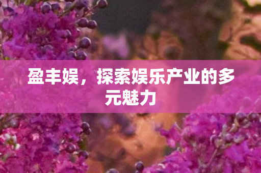 盈丰娱，探索娱乐产业的多元魅力