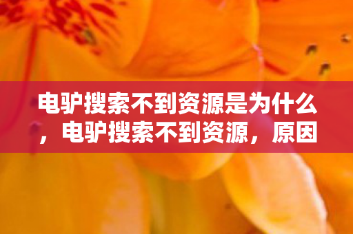 电驴搜索不到资源是为什么，电驴搜索不到资源，原因分析与解决方案