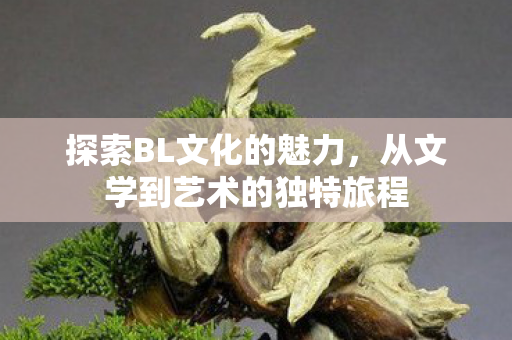 探索BL文化的魅力，从文学到艺术的独特旅程