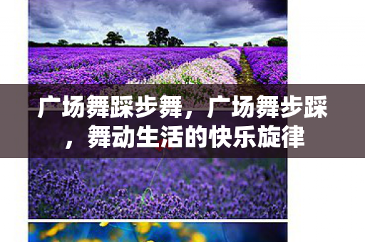 广场舞踩步舞，广场舞步踩，舞动生活的快乐旋律