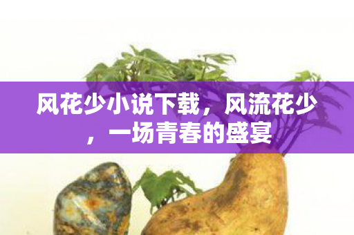 风花少小说下载，风流花少，一场青春的盛宴