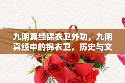 九阴真经锦衣卫外功,九阴真经中的锦衣卫,历史与文化的交汇 九阴真经锦衣卫外功,九阴真经中的锦衣卫,历史与文化的交汇