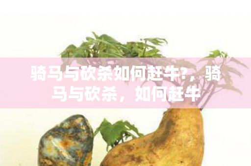 骑马与砍杀如何赶牛?,骑马与砍杀,如何赶牛 骑马与砍杀如何赶牛?,骑马与砍杀,如何赶牛