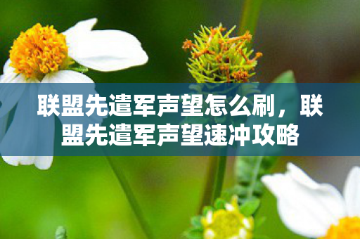 联盟先遣军声望怎么刷,联盟先遣军声望速冲攻略 联盟先遣军声望怎么刷,联盟先遣军声望速冲攻略