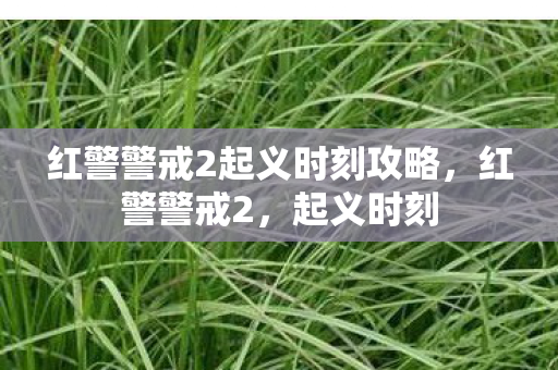 红警警戒2起义时刻攻略，红警警戒2，起义时刻