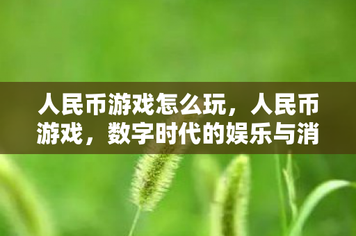 人民币游戏怎么玩，人民币游戏，数字时代的娱乐与消费新趋势