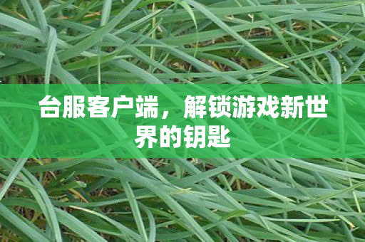 台服客户端，解锁游戏新世界的钥匙