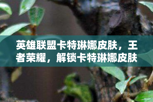 英雄联盟卡特琳娜皮肤，王者荣耀，解锁卡特琳娜皮肤的独特魅力