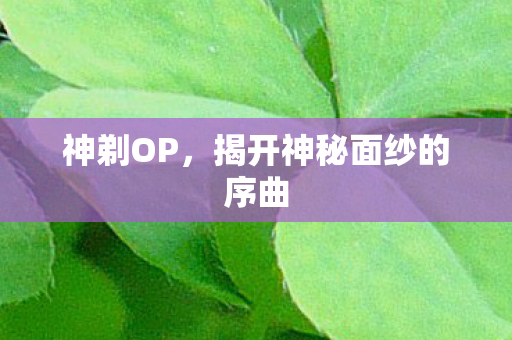 神剃OP，揭开神秘面纱的序曲