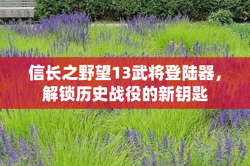 信长之野望13武将登陆器图片