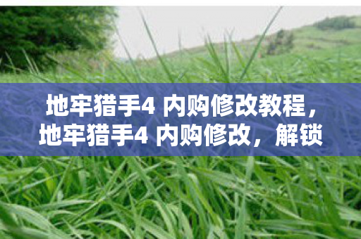 地牢猎手4 内购修改教程，地牢猎手4 内购修改，解锁无限可能的秘密