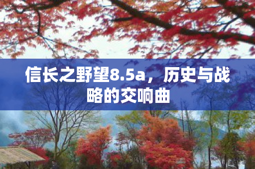 信长之野望8.5a，历史与战略的交响曲