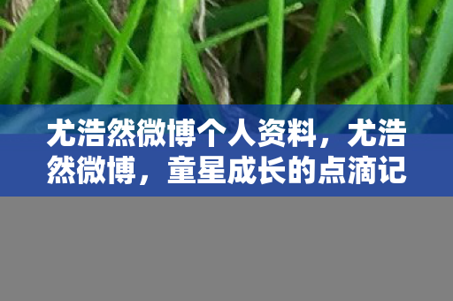 尤浩然微博个人资料，尤浩然微博，童星成长的点滴记录