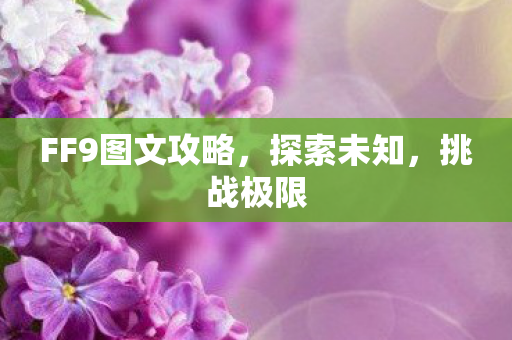 FF9图文攻略,探索未知,挑战极限 FF9图文攻略,探索未知,挑战极限