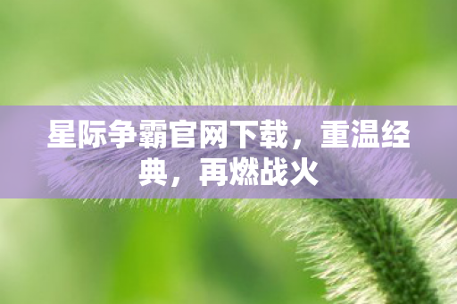 星际争霸官网下载,重温经典,再燃战火 星际争霸官网下载,重温经典,再燃战火
