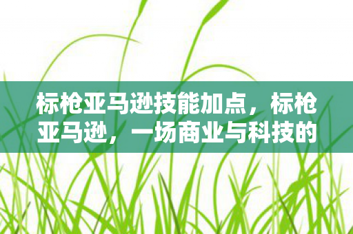 标枪亚马逊技能加点，标枪亚马逊，一场商业与科技的华丽交响曲