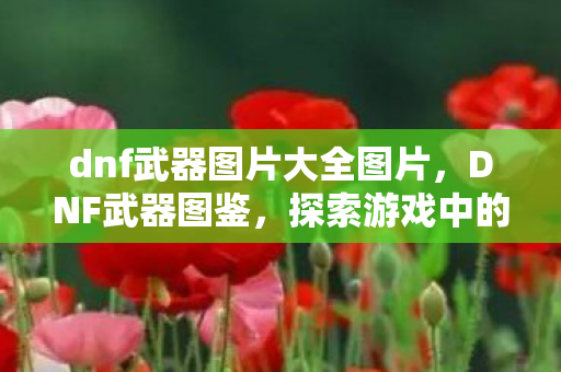 dnf武器图片大全图片，DNF武器图鉴，探索游戏中的神兵利器