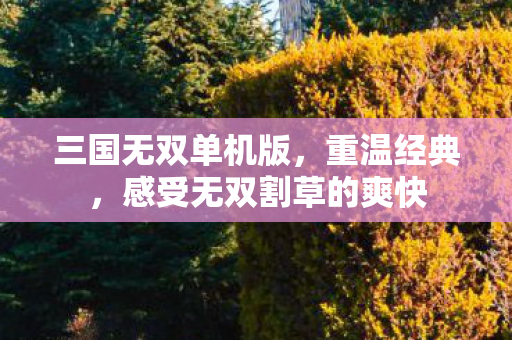 三国无双单机版，重温经典，感受无双割草的爽快