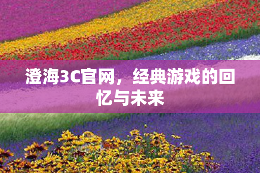 澄海3C官网，经典游戏的回忆与未来