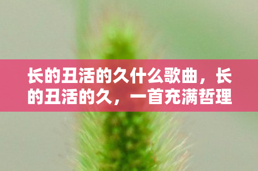 长的丑活的久什么歌曲，长的丑活的久，一首充满哲理与人生感悟的歌曲