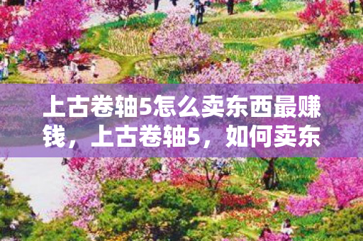 上古卷轴5怎么卖东西最赚钱,上古卷轴5,如何卖东西 上古卷轴5怎么卖东西最赚钱,上古卷轴5,如何卖东西