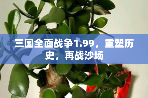三国全面战争1.99，重塑历史，再战沙场