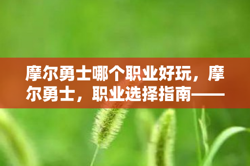 摩尔勇士哪个职业好玩,摩尔勇士,职业选择指南——哪个职业最适合你? 摩尔勇士哪个职业好玩,摩尔勇士,职业选择指南——哪个职业最适合你?