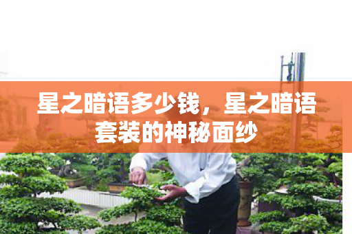 星之暗语多少钱，星之暗语套装的神秘面纱