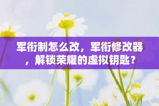 军衔制怎么改，军衔修改器，解锁荣耀的虚拟钥匙？