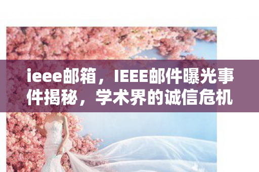 ieee邮箱，IEEE邮件曝光事件揭秘，学术界的诚信危机与未来展望