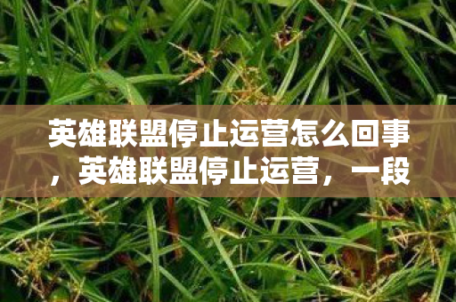 英雄联盟停止运营怎么回事，英雄联盟停止运营，一段传奇的落幕