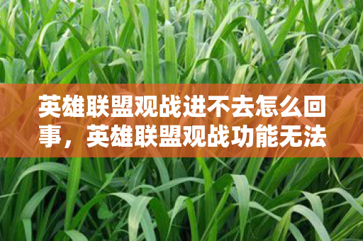 英雄联盟观战进不去怎么回事，英雄联盟观战功能无法进入的解决方法