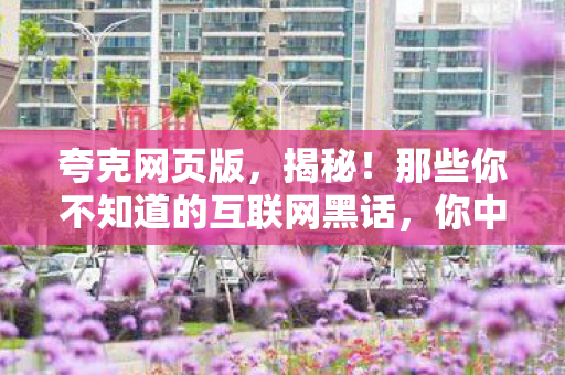 夸克网页版,揭秘!那些你不知道的互联网黑话,你中招了吗? 夸克网页版,揭秘!那些你不知道的互联网黑话,你中招了吗?