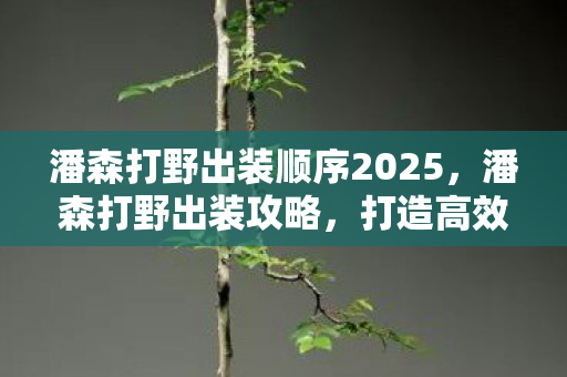 潘森打野出装顺序2025,潘森打野出装攻略,打造高效野区霸主 潘森打野出装顺序2025,潘森打野出装攻略,打造高效野区霸主