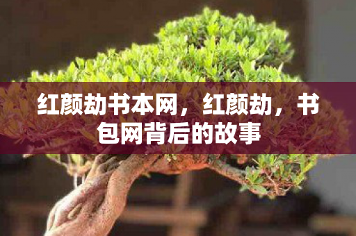 红颜劫书本网，红颜劫，书包网背后的故事