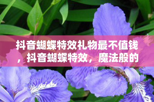 抖音蝴蝶特效礼物最不值钱，抖音蝴蝶特效，魔法般的视觉盛宴