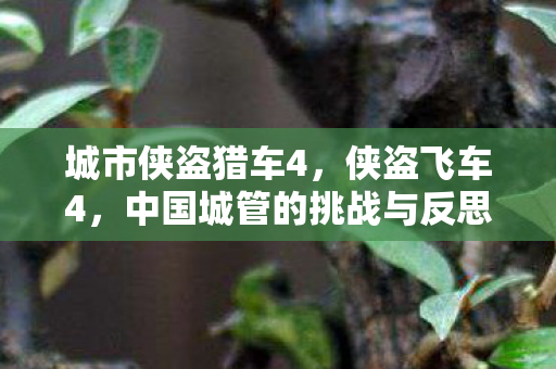 城市侠盗猎车4,侠盗飞车4,中国城管的挑战与反思 城市侠盗猎车4,侠盗飞车4,中国城管的挑战与反思